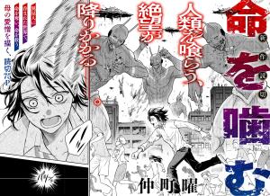 Inochi wo Kamu cover
