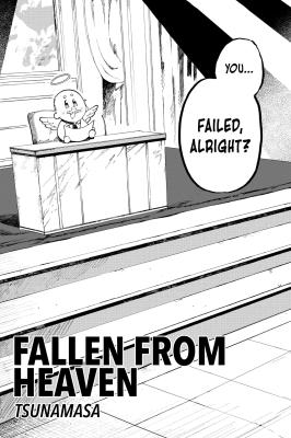 Fallen From Heaven cover