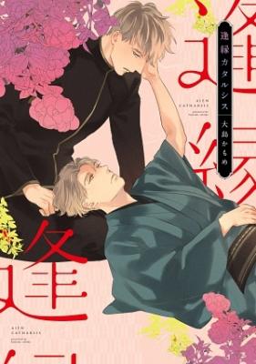 Aien Catharsis cover