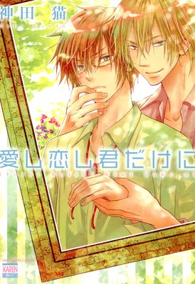 Itoshi Koishi Kimi dake ni cover