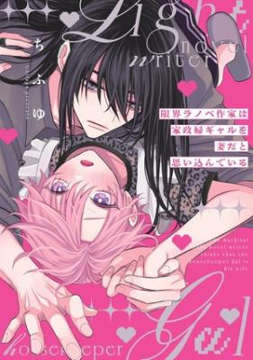Genkai Light Novel Sakka wa Kaseifu Gal wo Tsuma dato Omoi Kondeiru cover