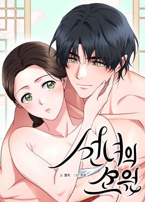 The Fairy's Wish cover
