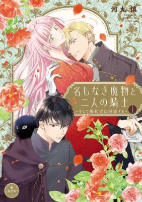 Na mo Naki Mamono to Futari no Kishi ~Soshite Konyakusha wa Konwaku suru~ cover