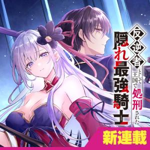 Hangyakusha to Shite Oukoku de Shokei Sareta Kakure Saikyu Kishi cover