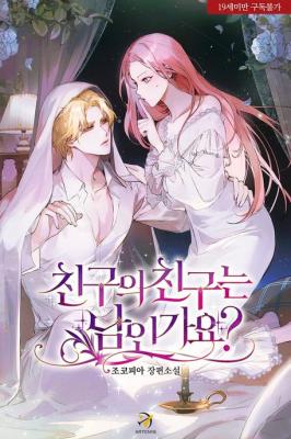 Is a Friend of a Friend a Stranger? (Novel) cover
