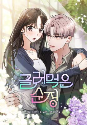 A Wrongful Romance cover