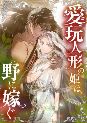 Aigan Ningyou no Hime wa, no ni Totsugu cover
