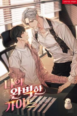 My Perfect Guide (Novel) cover