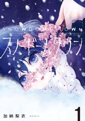 Snowdome Town cover