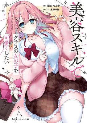 Biyou Skill de Class no Onnanoko o Kawaikushitai (Novel) cover