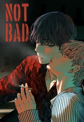 Not Bad cover
