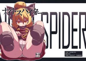 Touhou dj - Nightspider cover