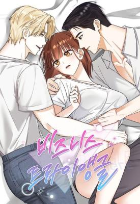 Business Triangle cover