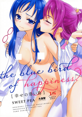 Dokidoki! Precure dj - Shiawase no Aoi Tori cover