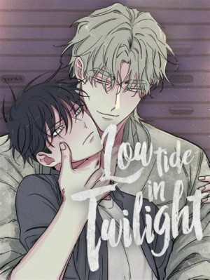 Low Tide in Twilight cover