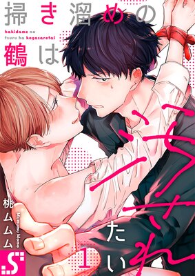 Hakidame no Tsuru wa Yogosa Retai cover