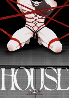 House cover