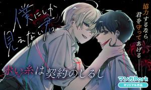 Boku ni shika Mienai Kimi cover