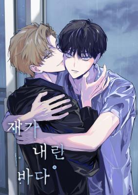 The Sea of Falling Ash cover