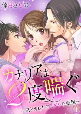 Kanaria wa 2-do Aegu - Ani to Kare no Midara na Aibu cover