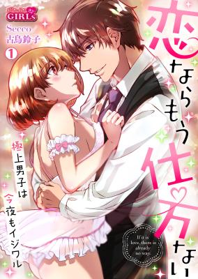 Koi Nara Mou Shikatanai Gokujou Danshi wa Konya mo Ijiwaru cover