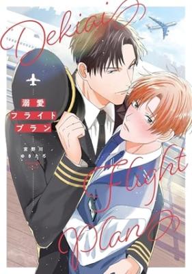 Dekiai Flight Plan cover