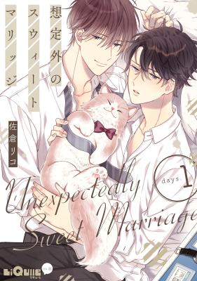 Souteigai no Sweet Marriage cover
