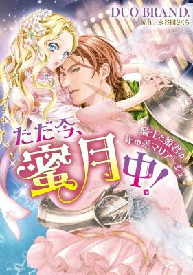 Tadaima, Mitsugetsu-chuu! Kishi to Himegimi no Toshi no Sa Marriage cover