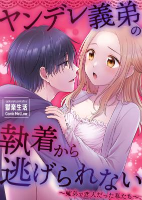 Soredemo Boku wa Nee-san wo Aishiteru cover