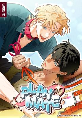 Playmate (Honey) cover