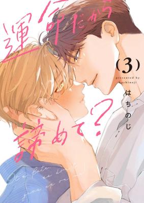 Unmei Dakara Akiramete? cover