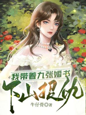 Down the Mountain to Avenge Nine Brides (Novel) cover
