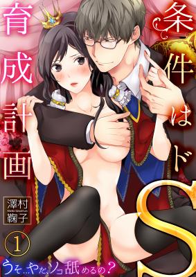 Do S Ikusei Keikaku cover