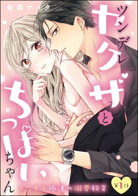 Tsundere Yakuza to Chippai-chan: Kowamote Gokudou no Dekiai Shiiku cover