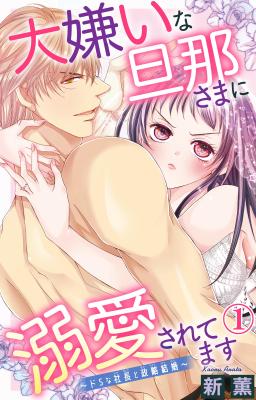 Daikirai na Danna-sama ni Dekiaisaretemasu - Do S na Chou to Seiryaku Kekkon cover