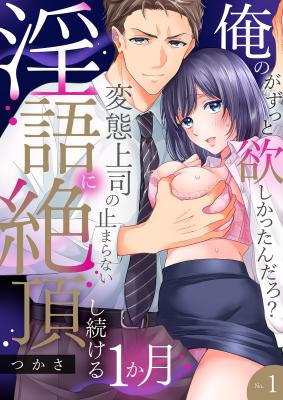 'Ore no ga Zutto Hoshikattan Daro?' Hentai Joushi no Tomaranai Ingo ni Zetchoushi Tsuzukeru Ichi Kagetsu cover