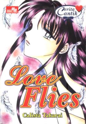 Love Flies cover