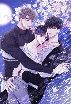 The Second Dawn cover