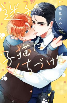 Maigo no Koneko ni Kuchizuke wo cover