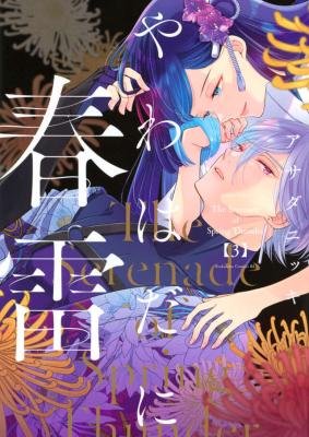 Yawahada ni Shunrai cover