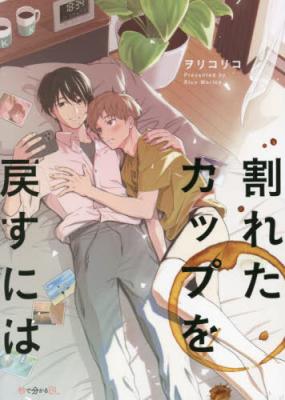Wareta Cup wo Modosu ni wa cover