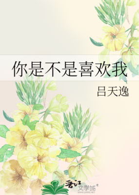 Don't You Like Me (Novel)
