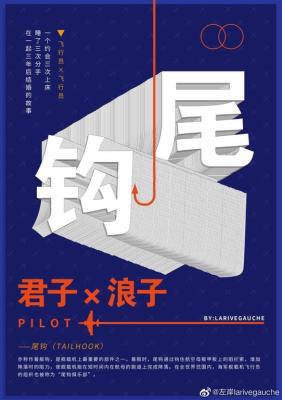 Tailhook (Novel) cover