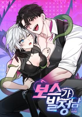 The Leader Has Disappeared cover