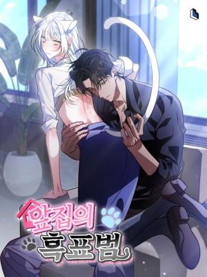 The Black Panther Next Door cover