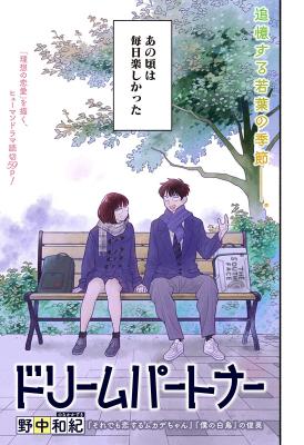 Dream Partner cover