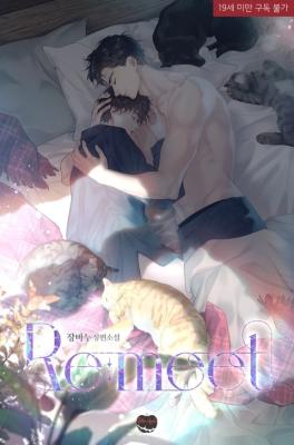 Remeet: Smoke and Siren (Novel) cover
