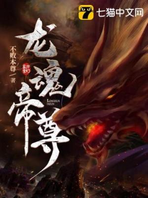 Dragon Soul Sovereign (Novel) cover
