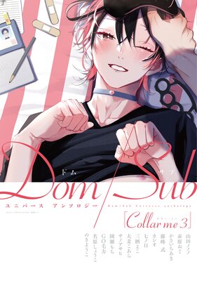Collar me Dom/Sub Universe Anthology cover