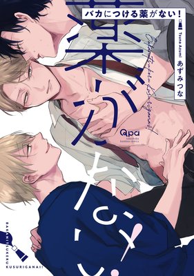 Baka ni Tsukeru Kusuri ga Nai! cover